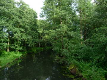 Spreewald