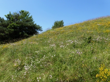 Badberg, Kaiserstuhl (Corinna Reetz) Badberg, Kaiserstuhl