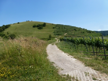 Badberg, Kaiserstuhl (Corinna Reetz) Badberg, Kaiserstuhl
