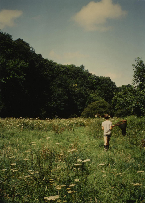 Teifi Valley Teifi Valley